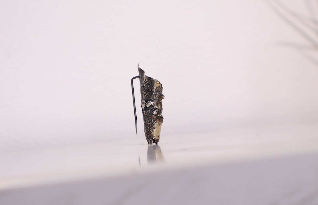 Broš ELECTRUM